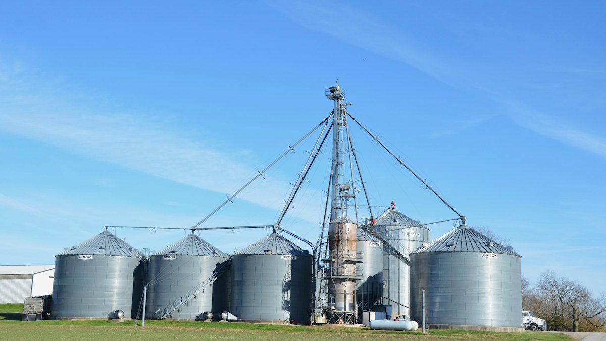 USA: China bought almost 2 million tonnes of US soybeans in a week