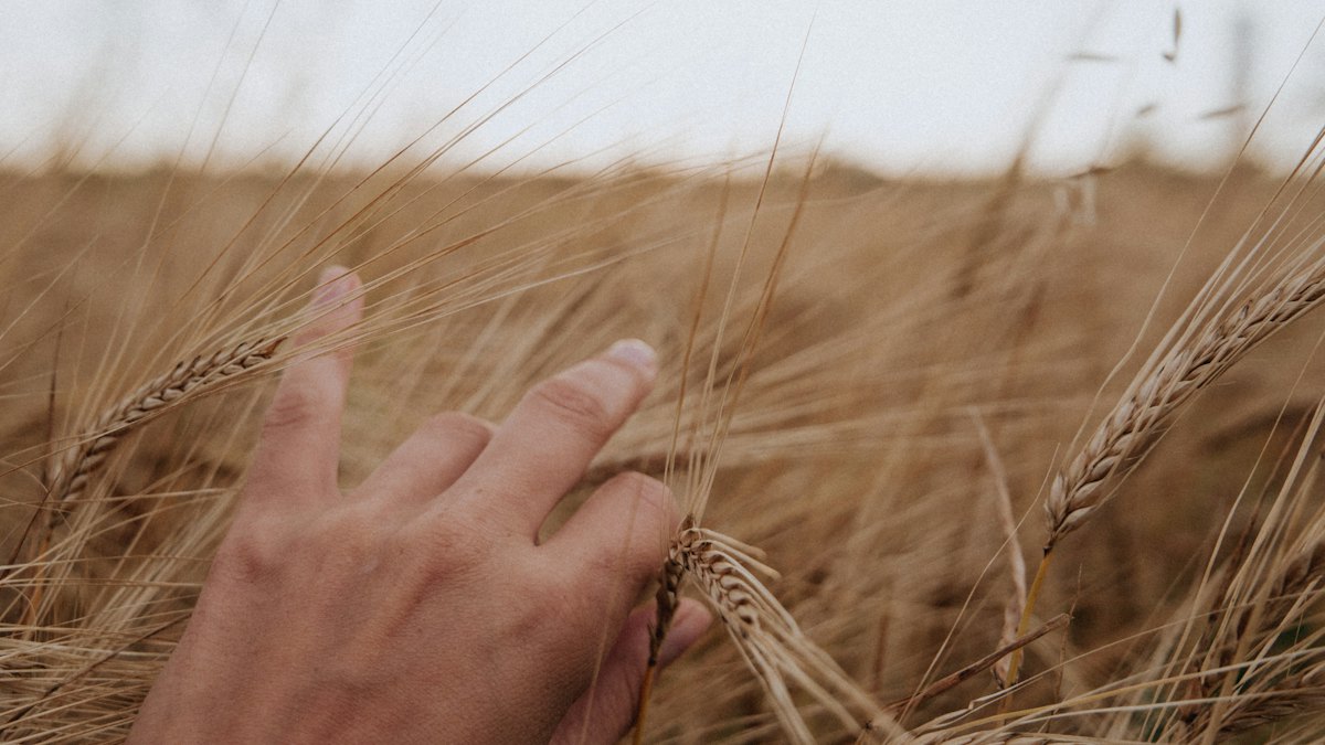 Kazakhstan: 200 billion tenge for subsidized farm machinery leasing in 2027